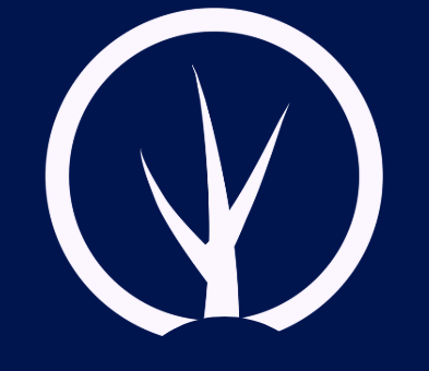 Ongshon Digital logo